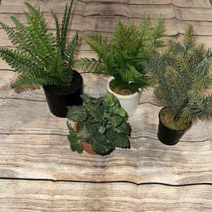 Set or artificial plants (from target)